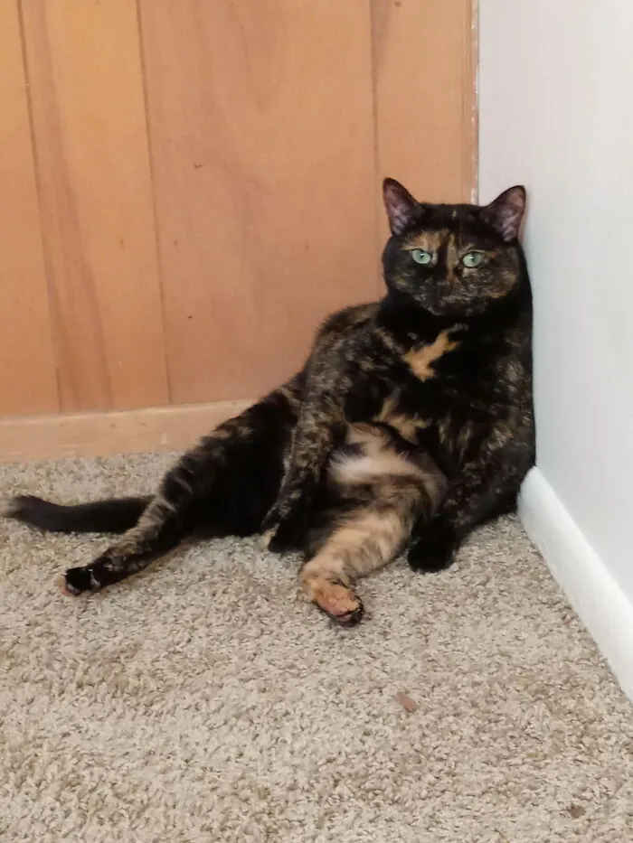 Sahara