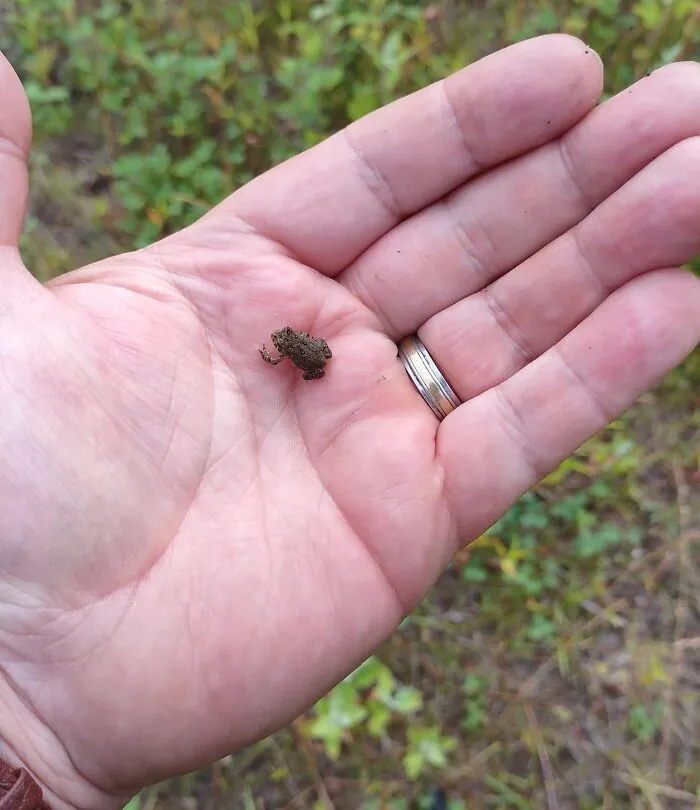A Friend Came To Visit While I Was Fishing This Spring