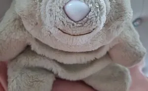 Hey Pandas, What Is The Oldest And The Most Important Plush You Own? (Closed)