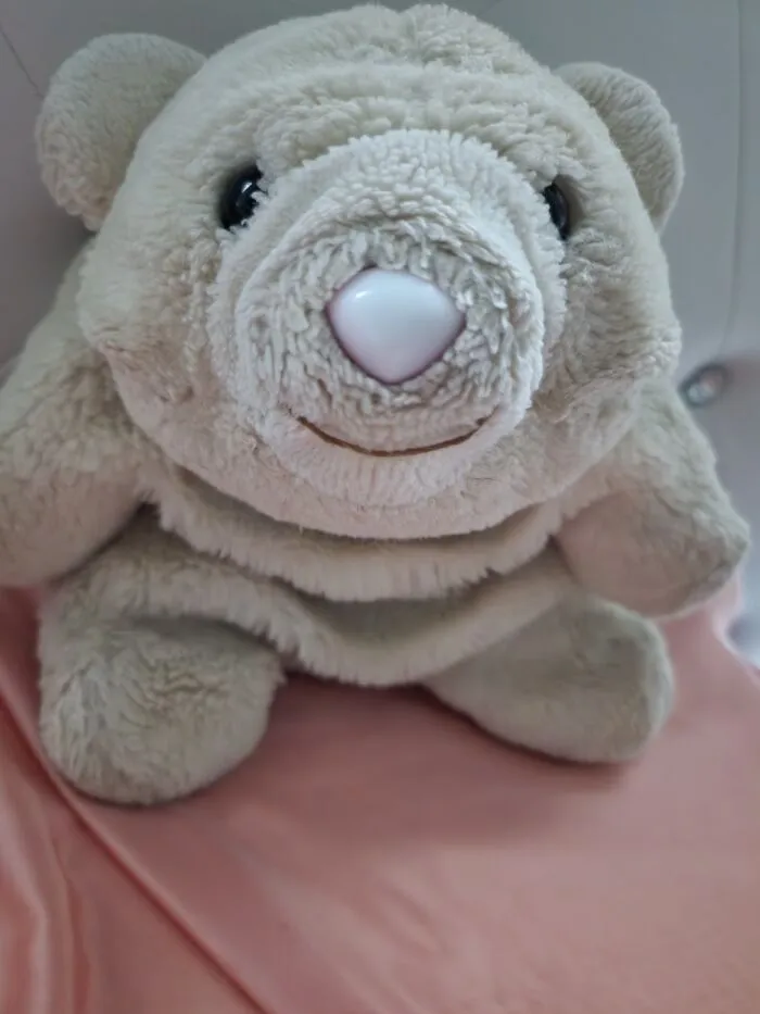 Baby A.k.a. Snuffles Is 42 Yrs Old & Still With Me Every Night