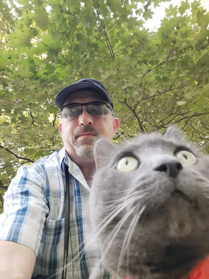 Out For A Walk