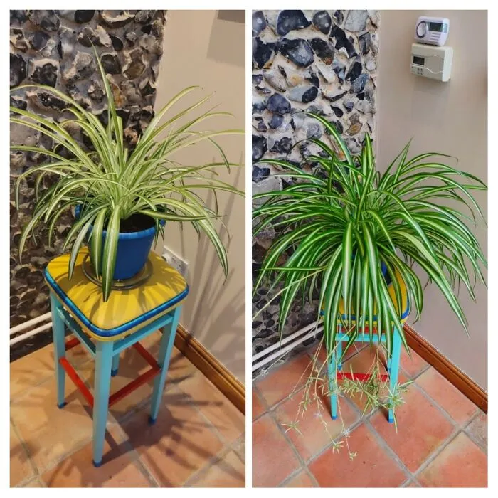 What A Difference 4 Months Makes!