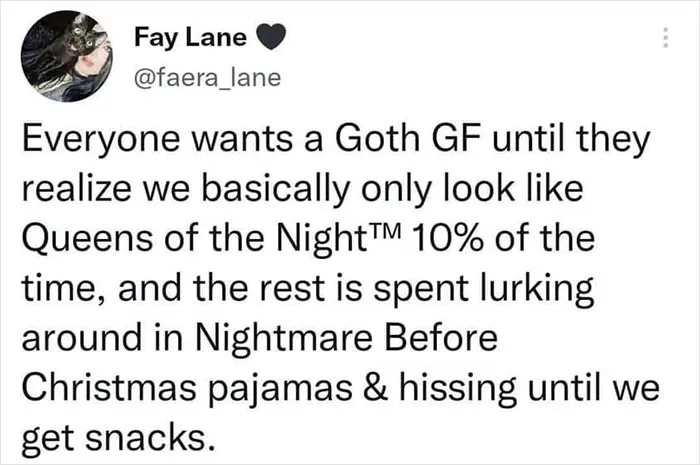 30 Memes And Posts That Sum Up What Kind Of People Goths Are, Shared On This Facebook Page