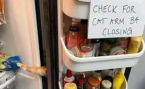"Stupid And Weird Signs": 50 Of The Funniest Signs Ever, As Collected By This Facebook Group
