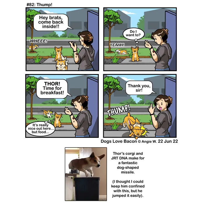 23 Comics I Made To Illustrate The Funny Reality Of Being A Dog Owner (New Pics)
