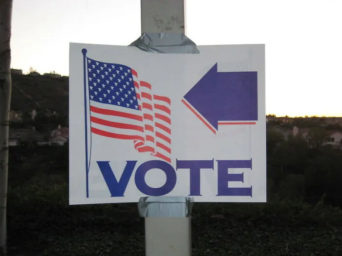 Stealing The Elections