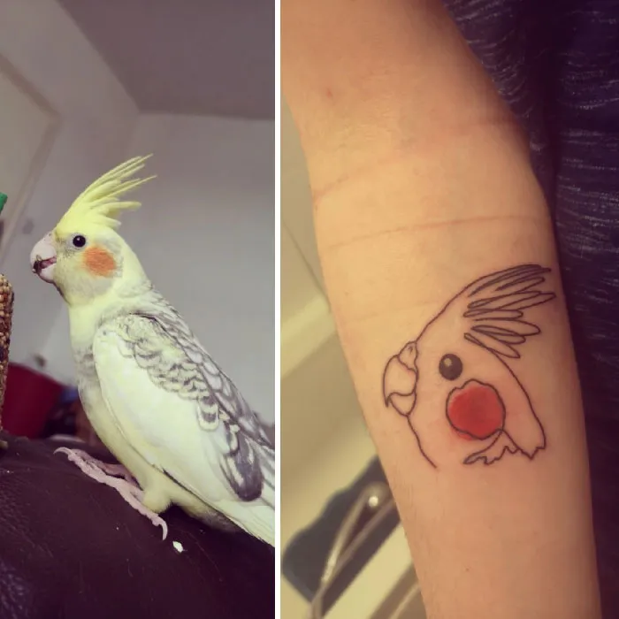 Pet tattoo of a cockatiel on a person's arm, symbolizing the bond between humans and pets.