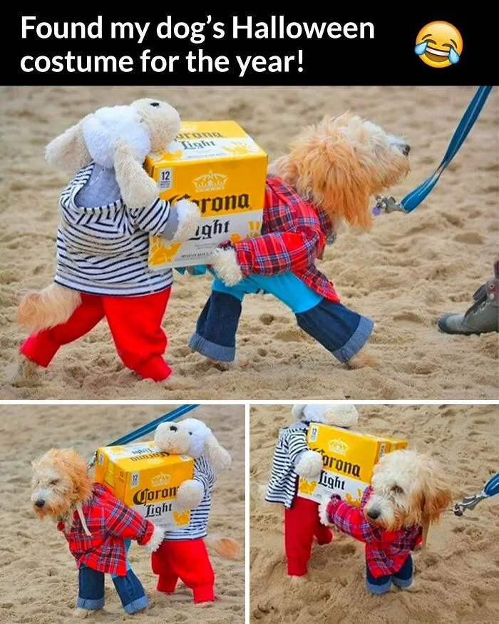 Genius!