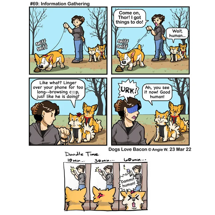 23 Comics I Made To Illustrate The Funny Reality Of Being A Dog Owner (New Pics)