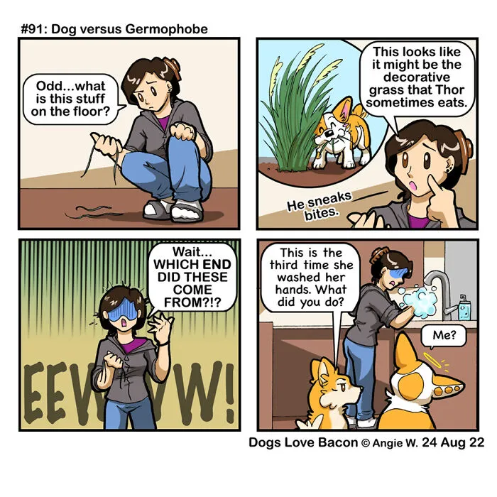 23 Comics I Made To Illustrate The Funny Reality Of Being A Dog Owner (New Pics)