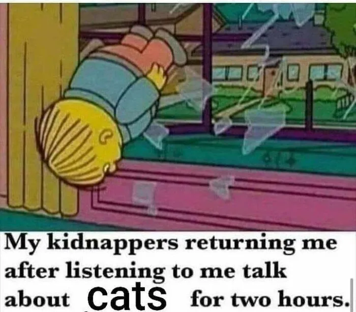 Cartoon character being thrown out a window with text about talking endlessly about cats.