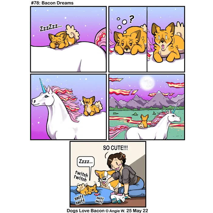 23 Comics I Made To Illustrate The Funny Reality Of Being A Dog Owner (New Pics)