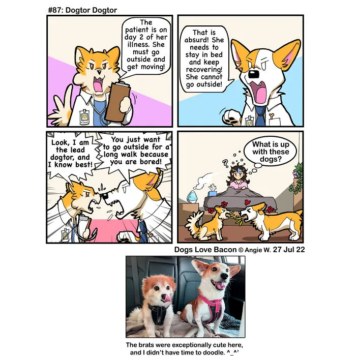 23 Comics I Made To Illustrate The Funny Reality Of Being A Dog Owner (New Pics)
