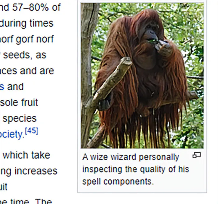 Wikipedia-Out-Of-Context-But-Its-Made-Up-Twitter