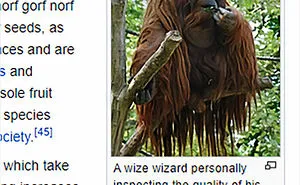 Folks Online Are Chuckling At These 30 Ridiculous “Edits” Of Wikipedia Pages As Shared By This Dedicated Twitter Page