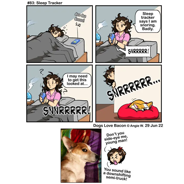 23 Comics I Made To Illustrate The Funny Reality Of Being A Dog Owner (New Pics)