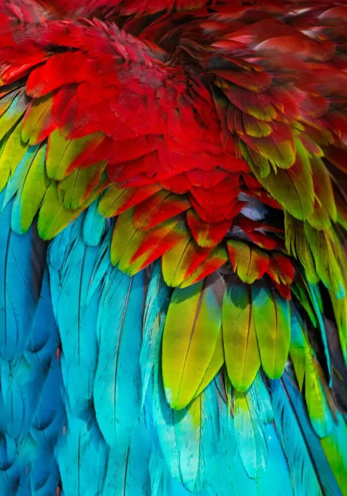 These Are My Best Animal Photographs That Were Taken In The Last 3 Months (10 Pics)