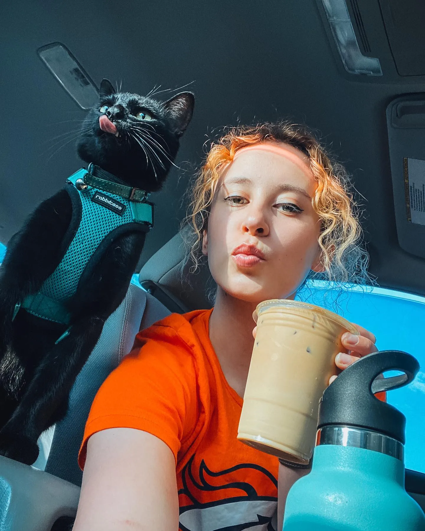 Found Lost In The Forest, Cat Is Now Her Savior's Best Travel Companion