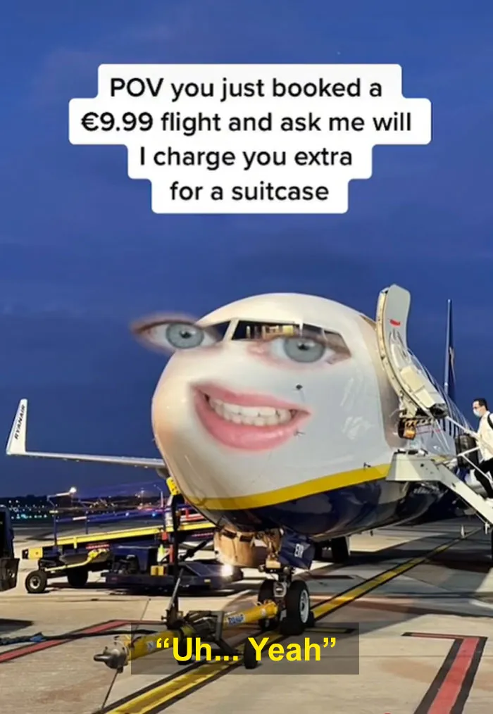 Ryanair plane with a humorous face overlay jokes about extra charges for suitcases on social media savage roasts.