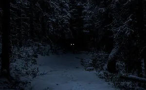 30 People Are Sharing Shockingly Terrifying Things They’ve Witnessed