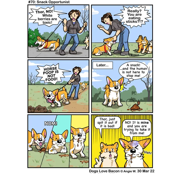 23 Comics I Made To Illustrate The Funny Reality Of Being A Dog Owner (New Pics)