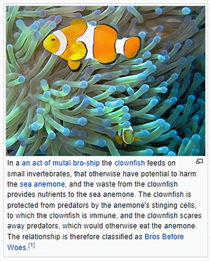 Folks Online Are Chuckling At These 30 Ridiculous “Edits” Of Wikipedia Pages As Shared By This Dedicated Twitter Page