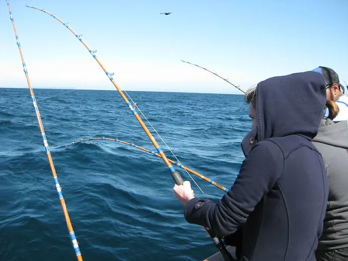 In Colorado, Utah, And Washington, D.C., Fishing From Horseback Is Illegal