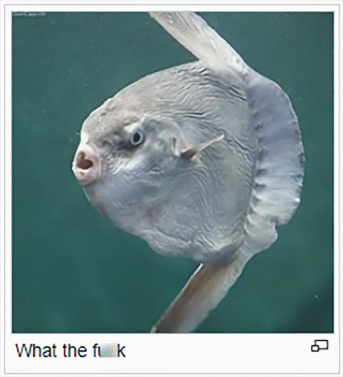 Folks Online Are Chuckling At These 30 Ridiculous “Edits” Of Wikipedia Pages As Shared By This Dedicated Twitter Page