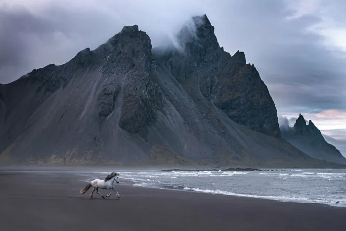 I Took Pictures Of Beautiful Horses In Breathtaking Icelandic Landscapes, And Here Are 30 Of Them