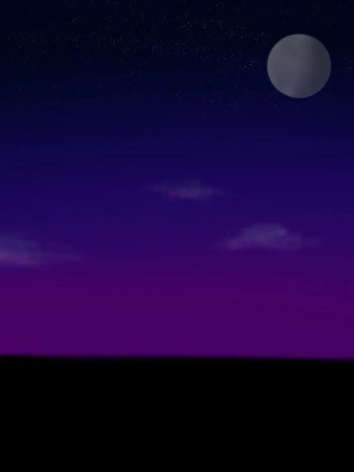 The Night Sky