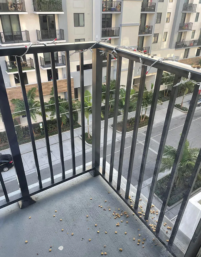Neighbors Have Been Pouring Bleach, Dog Urine, And Dirty Mop Water On My Balcony. Today’s Treat Was Dog's Puke