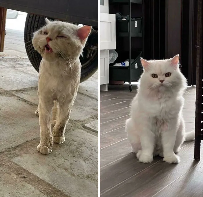 One Year Of Good Care And Love