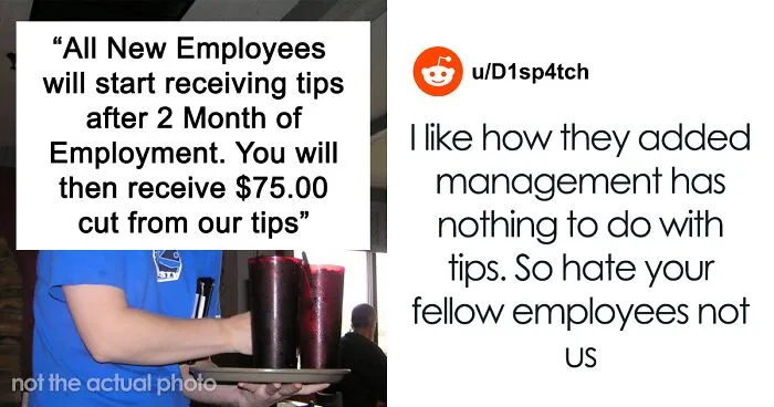 Restaurant Won't Give Their New Employees Tips Until They've Worked There For 6 Months, They Will Be Getting A Fixed Amount