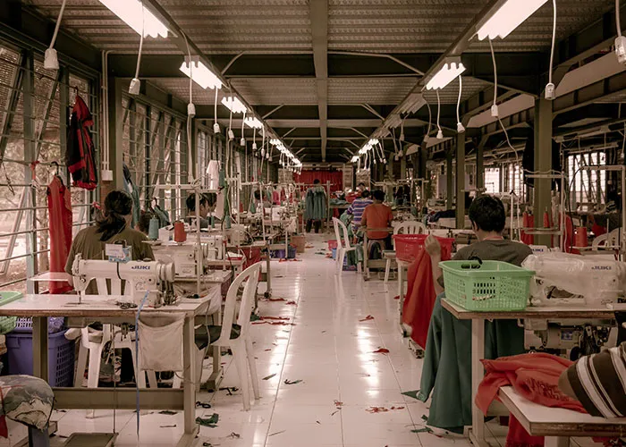 "¿Qué dato verdadero conoces que parezca falso?": 30 personas responden