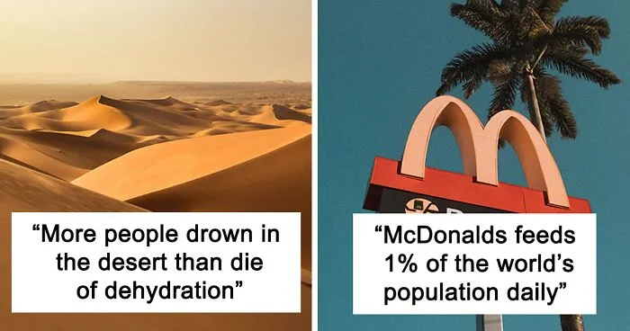 Someone Asked People "What Is A True Fact That Sounds Fake?" And 40 Delivered Illuminating Responses