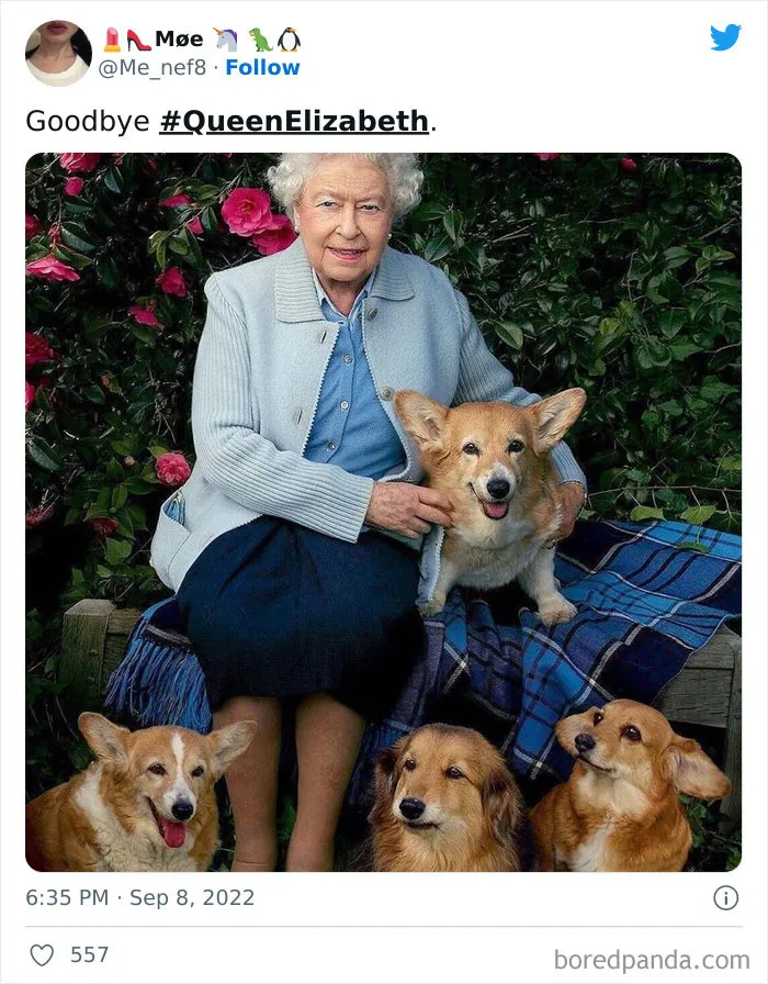 The World Reacts To Queen Elizabeth II’s Passing (50 Tributes)
