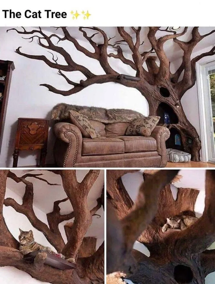 Wow!