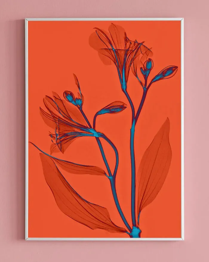 30 Pictures Of Plants That I Took Using X-Ray