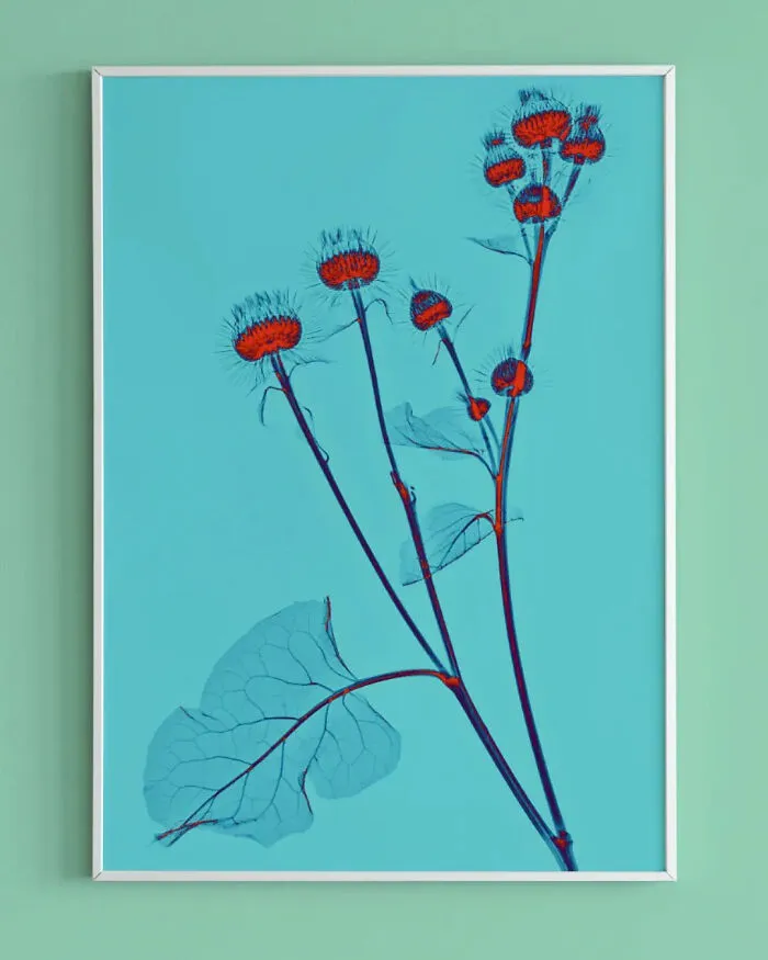 30 Pictures Of Plants That I Took Using X-Ray