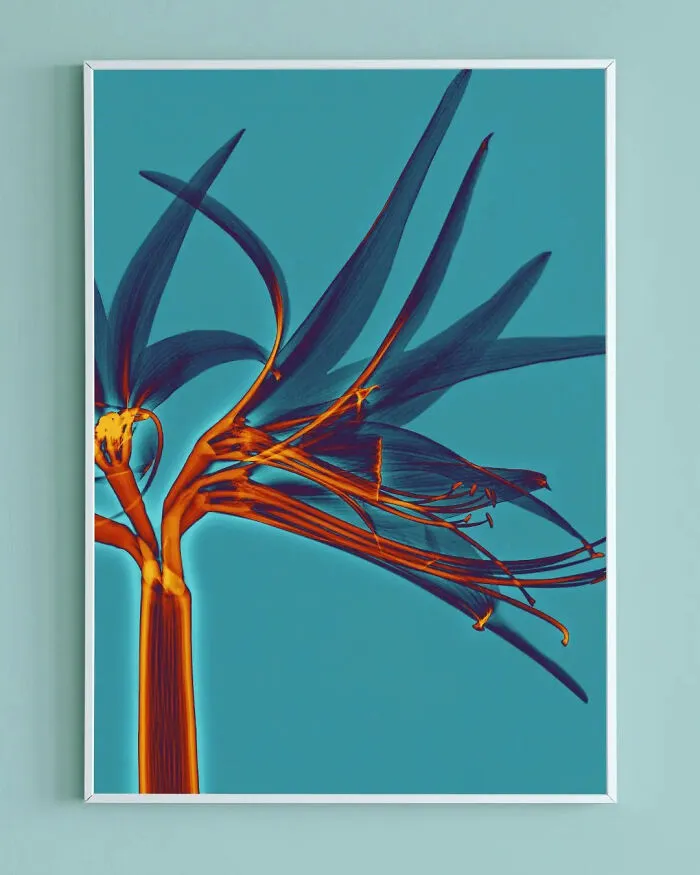 30 Pictures Of Plants That I Took Using X-Ray