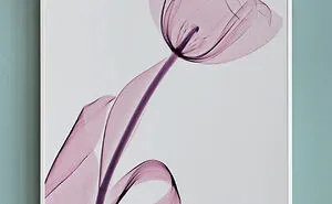 30 Pictures Of Plants That I Took Using X-Ray