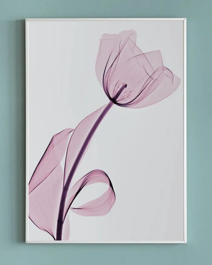 30 Pictures Of Plants That I Took Using X-Ray