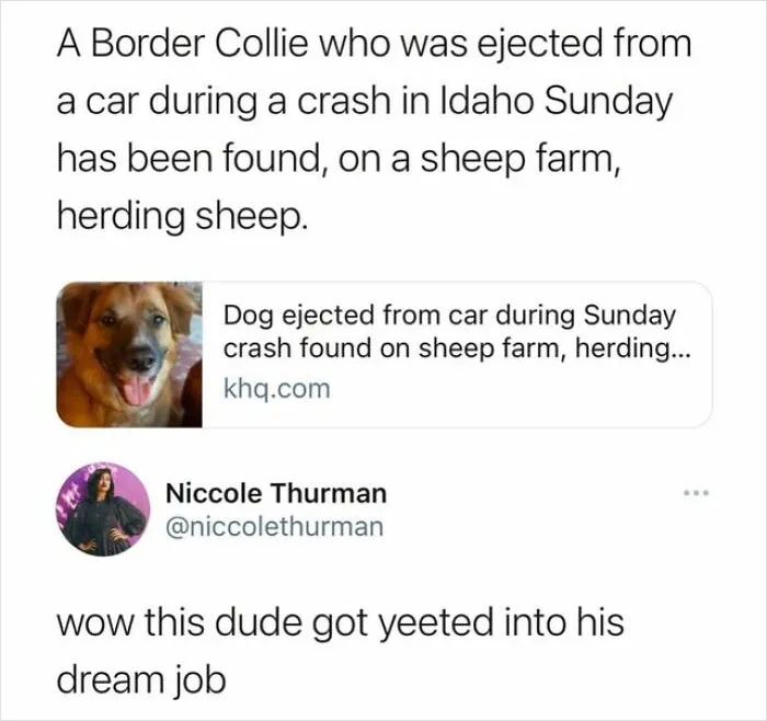 "Very Important Positivity": If You Are Feeling Down, These 50 Wholesome Posts Might Make Your Day