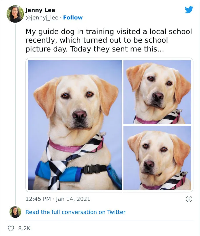 "Very Important Positivity": If You Are Feeling Down, These 50 Wholesome Posts Might Make Your Day