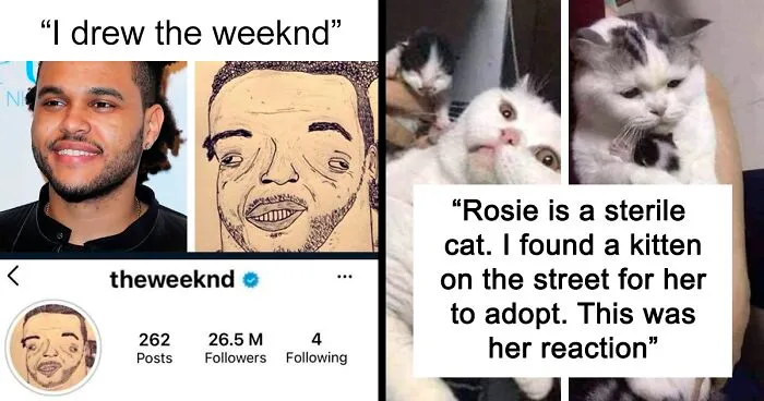 "Very Important Positivity": If You Are Feeling Down, These 50 Wholesome Posts Might Make Your Day