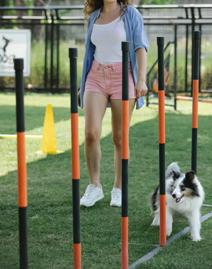 30 Vets Share The Best Pieces Of Advice They Wish All Pet Owners Knew