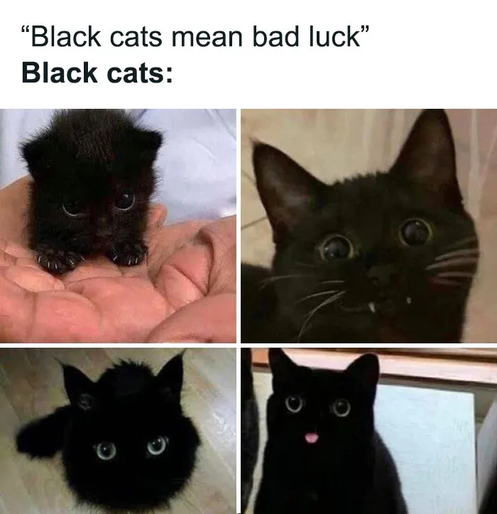 Not So Bad Luck