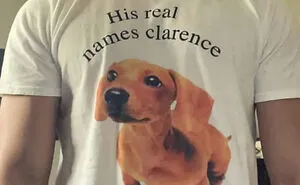 50 Ridiculous, Bizarre, And Downright Cursed Shirts People Actually Wear Out In Public, As Shared By These Twitter Accounts (New Pics)
