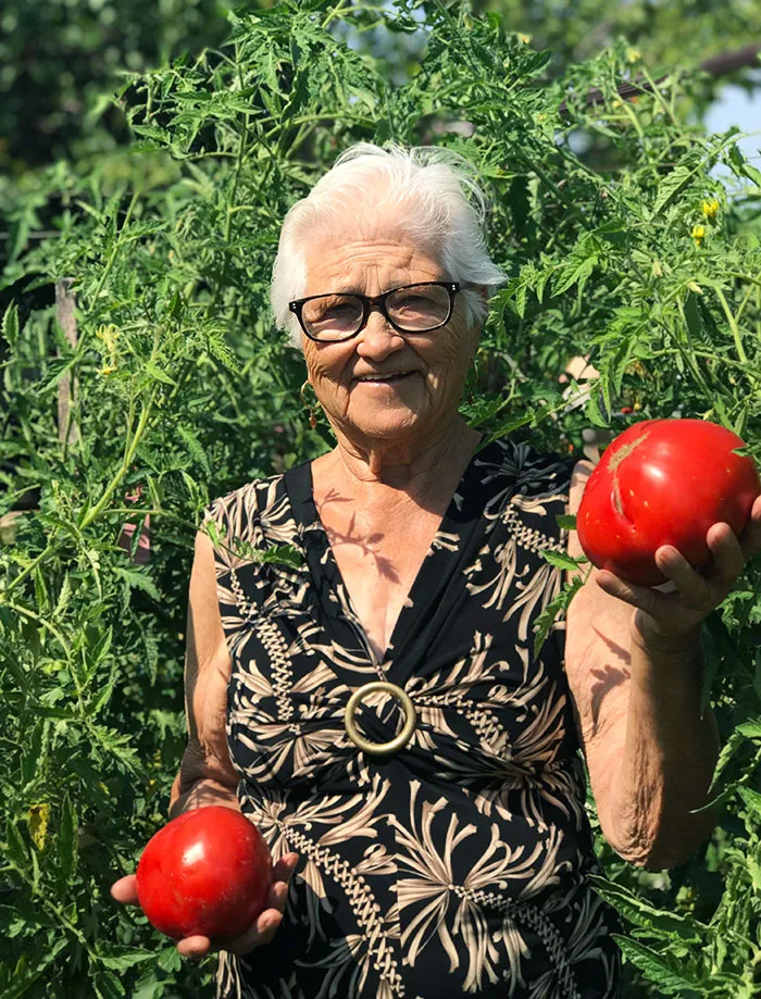 Mi nona quería que publicara esta foto en internet para que: “Todos en Italia puedan ver lo grandes que han crecido mis tomates”