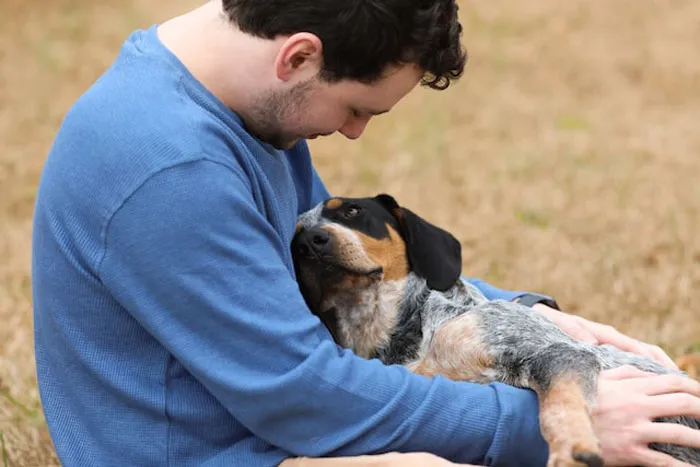 “Zebras Can’t Sleep Alone”: 40 People Share The Most Wholesome Animal Facts They Know